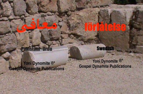 Urdu-Swedish John 1