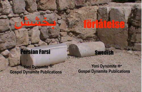 Persian Farsi-Swedish John 1